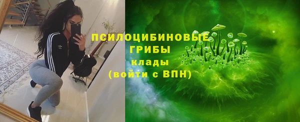дживик Богданович