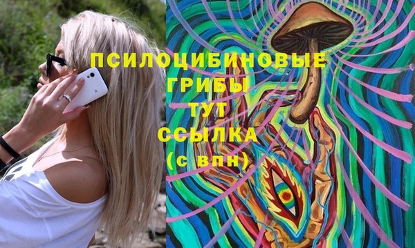прущая мука Богородицк