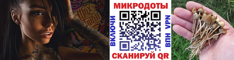 Купить закладки  Воркута  Псилоцибиновые грибы Psilocybe 